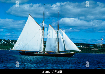 Berühmte große Segelschiff BLUENOSE II im Hafen von Halifax Nova Scotia Kanada Stockfoto