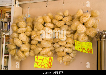 Marine Schwämme zum Verkauf auf der griechischen Insel Kreta Stockfoto