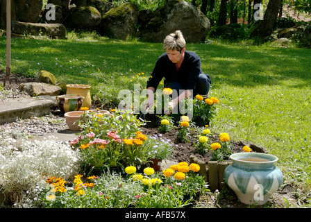 Gärtner pflanzt Blumen im Garten Stockfoto