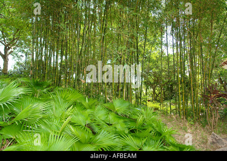 Shatin neue Park Hong Kong China Stockfoto