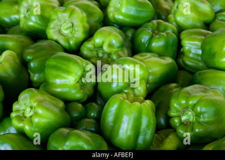 Grüne süße Paprika, California