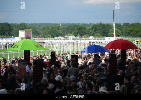 Tribüne mit Buchmacher, Royal Ascot-Meeting, Ascot Racecourse in Ascot, Berkshire, England, Vereinigtes Königreich Stockfoto