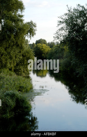 Fluss Ouse mit Bäumen in Bedford uk Stockfoto