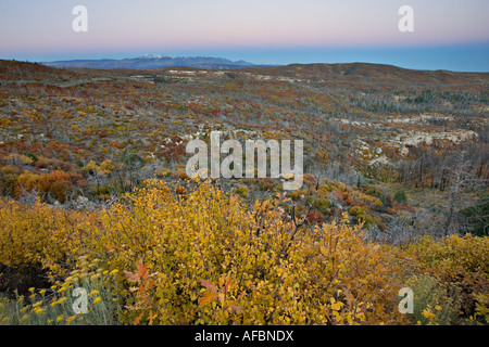 Mesa Verde Nationalpark Stockfoto