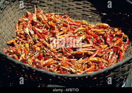 Paprika, trocknen im Korb, Thailand Stockfoto
