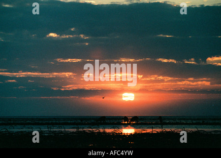 Afrikanischen Sonnenuntergang über See Stockfoto