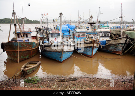 Fischerboote am Liegeplatz auf schlammigen Zuari Fluß in Cortalim Marmugao Bezirk Goa Indien Asien Stockfoto