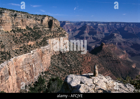 Ziesel, Grand Canyon, helle Angel Trai, Grand Canyon NP-Arizona USA Stockfoto