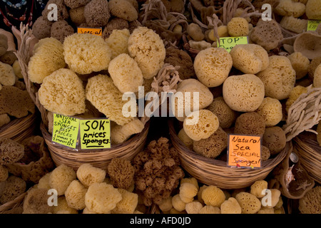Meeresschwämme für Verkauf, Altstadt, Rhodos Griechenland Stockfoto
