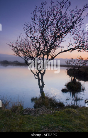 Breites Becken 4 Stockfoto