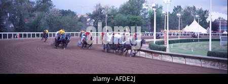 Ein Chuckwagon Rennen auf der Calgary Stampede Rodeo in der Stadt von Calgary in Alberta, Kanada Stockfoto