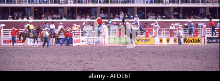 Sattel Bronc Reiten bei der Calgary Stampede Rodeo in Calgary Alberta Kanada Stockfoto