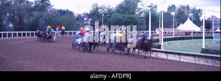 Ein Chuckwagon Rennen auf der Calgary Stampede Rodeo in der Stadt von Calgary in Alberta, Kanada Stockfoto