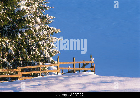 Blick vom Geigerhof, Nova Levante (Welschnofen) Eggental (Eggental) Trentino Alto Adige, Januar 2004 Stockfoto