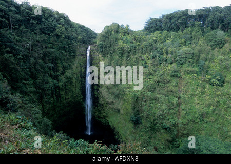 Akaka Falls, Akaka Falls State Park, North Hilo, Big Island Hawaii, Hawaii, USA Stockfoto