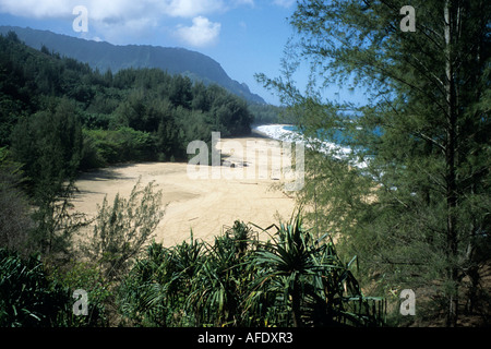 Lumahai Beach, in der Nähe von Hanalei, Kauai, Hawaii, USA Stockfoto