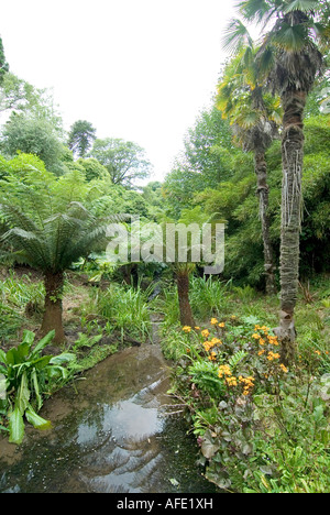 Cornwall, die Lost Gardens of Heligan England Stockfoto