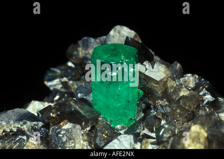 Emerald in Calcit, von Mark Schneider/Dembinsky Foto Assoc Stockfoto
