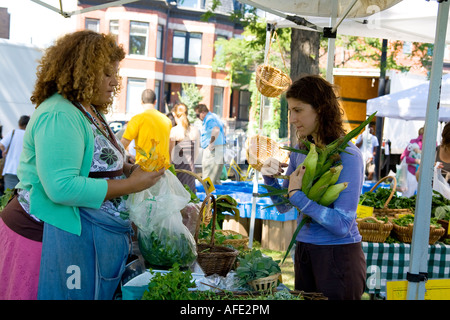 Frau kaufen Mais in der Agrar-Bio grüne Stadt Markt Chicago Illinois Stockfoto