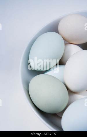 Seltene Rasse Freerange Eiern in ein weißes Porzellan Schale "Alte Cotswold erscheinen Hühner" Stockfoto