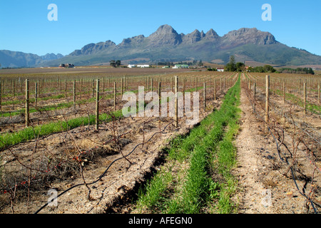 Helderberg Berge mit Blick auf Eikendal Weinberge in der Nähe von Stellenbosch western Cape Südafrika RSA Stockfoto