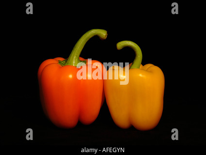 Eine rote und gelbe Paprika sitzen nebeneinander. Stockfoto