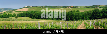 Panorama der Landschaft Weinbergen und Olivenhainen in Val di Pesa Chianti Toskana Italien Stockfoto