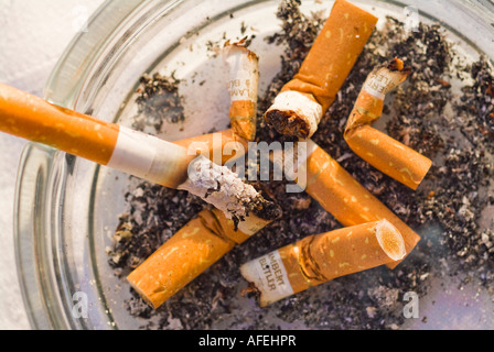 Anti-Rauchen Schuss von Zigarettenstummel in einem schmutzigen Aschenbecher illustrieren die Hässlichkeit dieser Unsitte Stockfoto