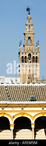 Die Giralda Turm von Real Maestranza Stierkampfarena aus gesehen Stockfoto