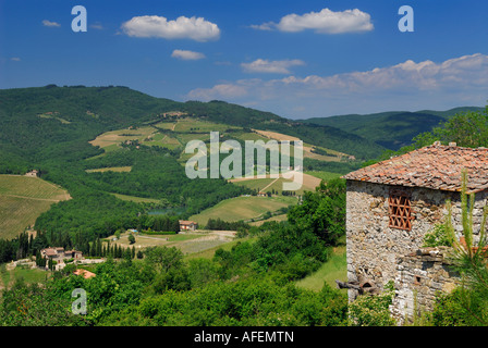 Blick auf Weinberge und alten Hang Haus von Radda in Chianti Toskana Italien Stockfoto