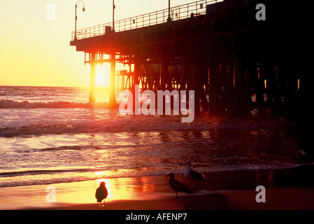 Santa Monica Pier Stockfoto