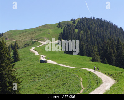 Hoernle Bei Bad Kohlgrub in Den Ammergauer Alpen Stockfoto