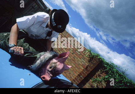 Stereotyp Thema eine Polizistin, die Festnahme eines Schweins Stockfoto