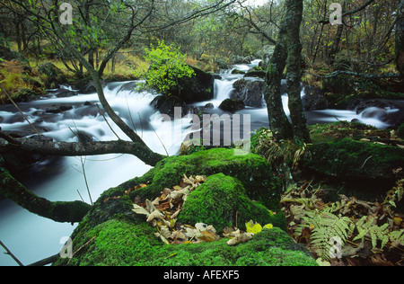 Der Fluss Offshore-durch Seathwaite im Lake District Cumbria England UK Stockfoto