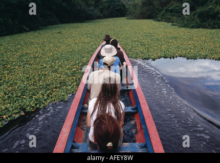 Bootsfahrt - Amazonasbecken, Beni, Bolivien Stockfoto