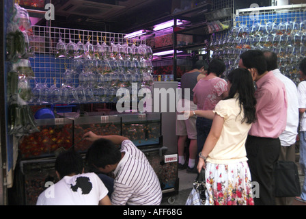 Surfen vor einem Geschäft, Goldfish Market, Mong Kok, Hong Kong. Stockfoto