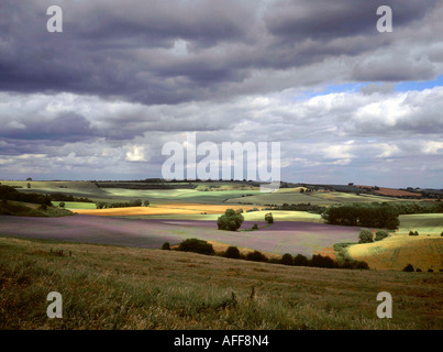 Lincolnshire Wolds England Ansicht mit Bereich der Borretsch unter einem bedrohlichen Himmel Stockfoto