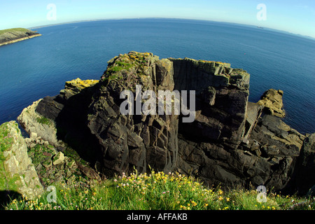 St Non s Bucht Klippen bekannt für Klettern Pembrokeshire West Wales St Nons Bucht Geburtsort von St. David Dewi Sant Stockfoto