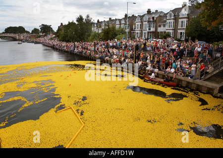 Great British Duck Race 2007 auf der Themse in Hampton Court Stockfoto