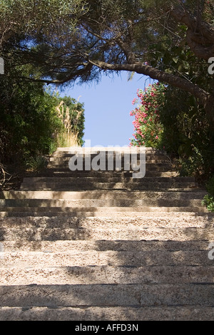 Stone Steps Stockfoto