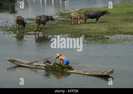 Fischer mit Bambus-Floß und Wasserbüffel Stockfoto