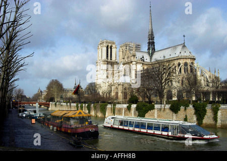 Seine und Notre Dame Stockfoto