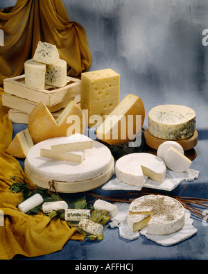 Französische Käse in Gruppe Farbfoto auf cool getönten gesprenkelte Hintergrund. Hochformat, Studio Tischplatte. Klassisches Bild. Stockfoto