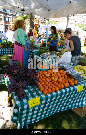 Frau kaufen Mais Bio grüne Stadt Bauern Markt Chicago Illinois Stockfoto