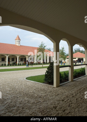 Vollblut Pferdentraining center-Scheune, Gold Mark, Ocala, FL Stockfoto