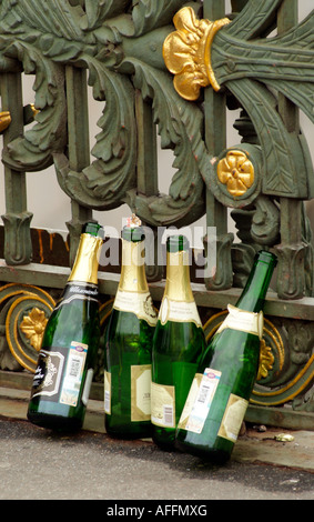 Leere russischen Champagner Flaschen St Petersburg Russland links am Straßenrand nach einer Hochzeit Fotografie Sitzung Stockfoto