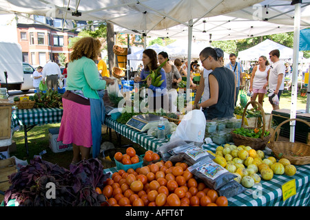 Frau kaufen Mais Bio grüne Stadt Bauern Markt Chicago Illinois Stockfoto