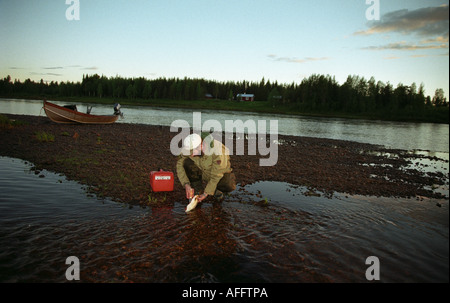 Grenzfluss 917-31 Stockfoto