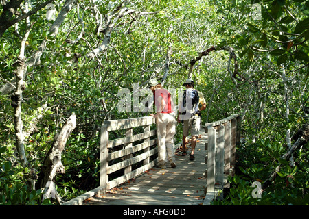 Key Largo Keys Florida Florida USA John Pennekamp Coral Reef State Park Stockfoto