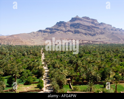 Agdz, Draa-Tal, Ouarzazate, Marokko, Nordafrika Stockfoto